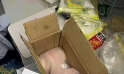 �����������ķɻ�����һ��Ů����С�������ˣ��ָ���