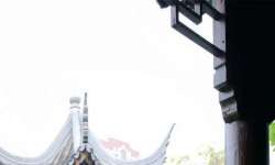 ��ɫ�ĵ�Ӱ����Щ��