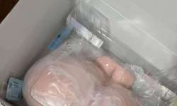 ������Ĥ40��