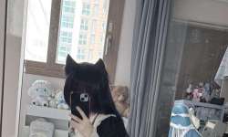 �����������������ˣ������������̸�����ˣ���Ҳ����