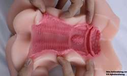 gxp������������