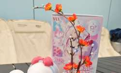�Ӱ�װ��ʵ�������èצ������ӽ���������