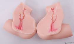 GXP���������ͳ�������