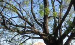 �ϸ��ǣ��Ҹղ��������Ρ���һ���������棬����5����