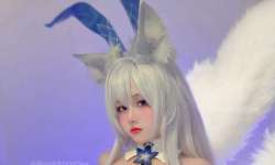 Ҫ��ע���½���