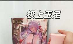 �������㡤�������ģ��������ֵ���涥����������Ű��