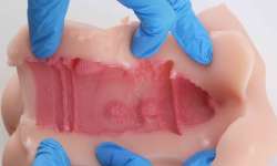 GXP���������������⣡���춳��ѵ���������ᡰ��ͷ���Ĵ����������û��