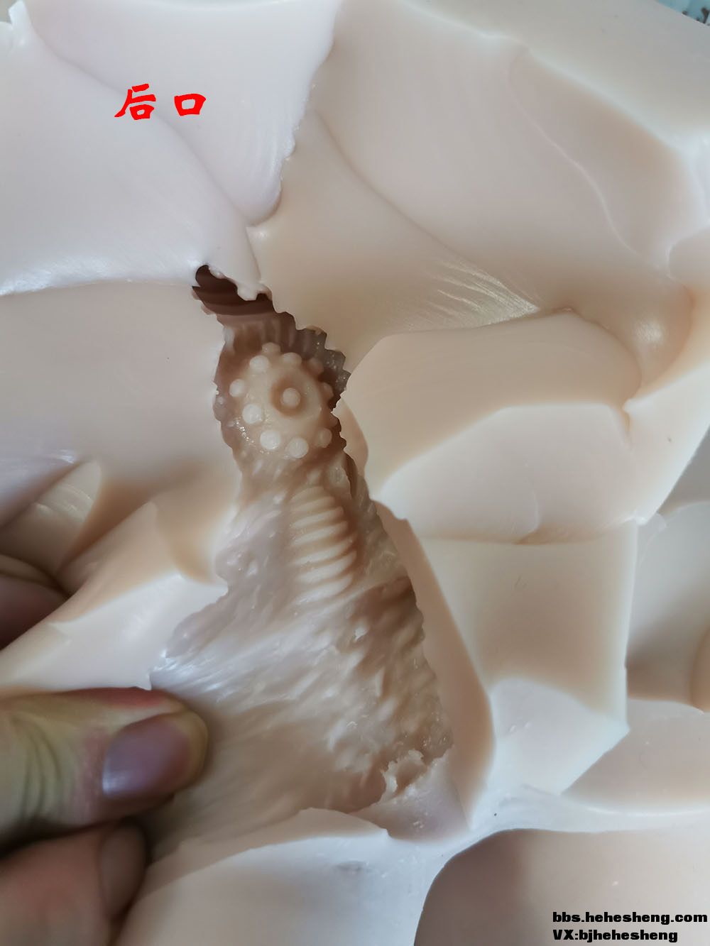 分解了一个toysheart新款带龙骨屁股——安贝贝