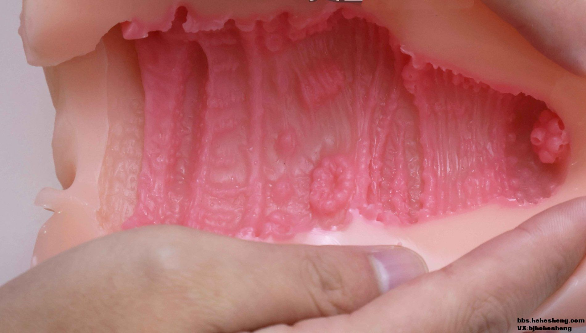 GXP�������������������⣡����ѹ���Ŀ��������棡ƽ������̫��